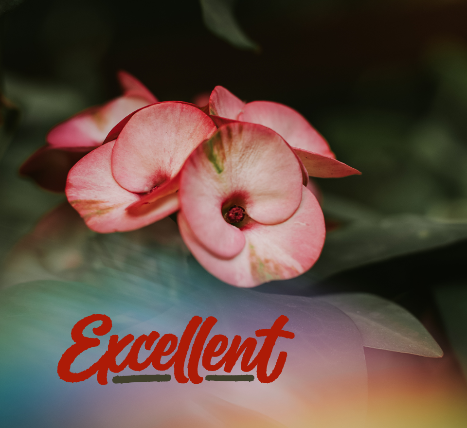 Whatever Is Excellent – Daniel 6:1-10 and 2 Peter 1: 3-11