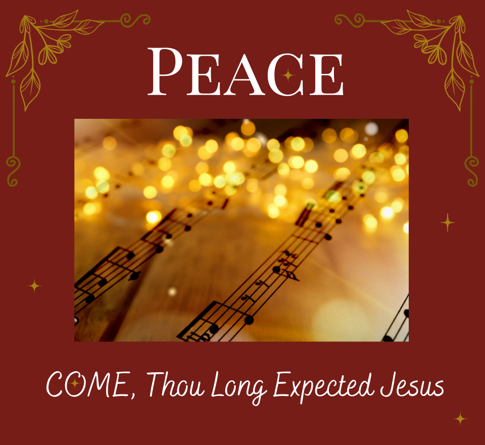 Comfort and Judgment? – Isaiah 11:1-10 and Matthew 3:1-12